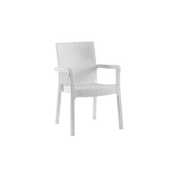 KOD NO : P.SN-026 KOD NO : P.SN-026